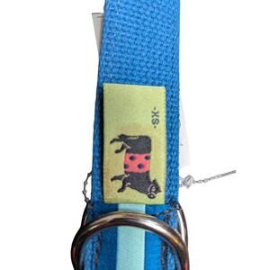 Striped Web Belt‎ Extra Small XS Blue Turquoise Dog Print D Ring